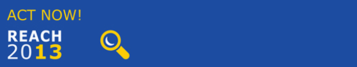 vefbanner_001_reach_2013.png