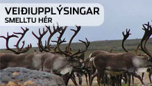 Veiðiupplýsingar - smelltu hér