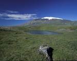 Bárðarlaug