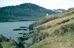 Fólkvangur Neskaupstaður