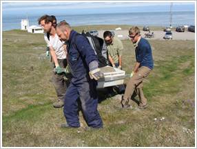 Sjálboðaliðar við störf á Látrabjargi 2012
