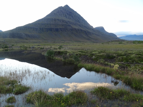 Horft yfir hluta jarðarinnar. Búlandstindur, Búlandsdalur og Búlandsá tilheyra jörðinni að stórum hluta.