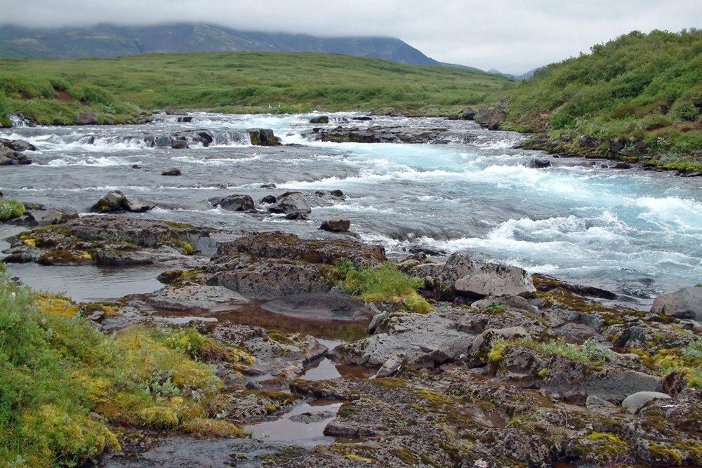 Ljósmynd: Guðmundur Guðjónsson