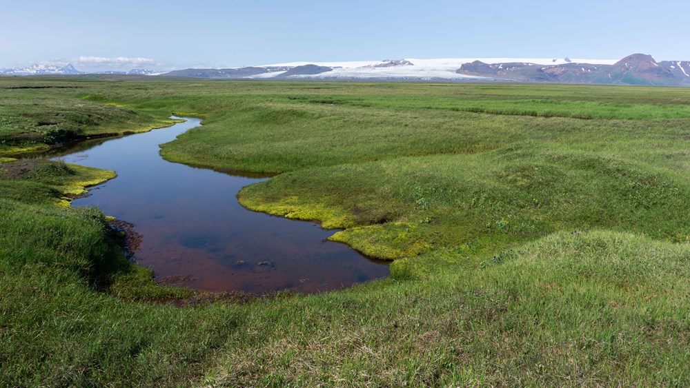 Þjórsárver ist einer von sechs Ramsar-Standorten in Island.